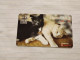 LIECHTENSTEIN-(LI-39A)-CATS-(93)(431-505-1611-6661)(20CHF)-(03/06)(31505198)-tirage-100.000-used Card - Liechtenstein