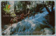 JAMAICA - GPT - Dunns River Falls - Coded Without Control - $20 - Used - Jamaïque