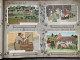 Delcampe - Illustrateur Amédée Lynen Album Complet 200 Cartes Postales En Litho Bruxelles Et Brabant   De çi - De Là - Lynen, Amédée-Ernest