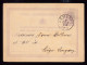 DDFF 531 - Entier Lion Couché JEMEPPE 1876 - Cachet Braconnier Frères Et Soeur à TILLEUR - Briefkaarten 1871-1909