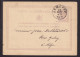 DDFF 532 - Entier Lion Couché JEMEPPE 1876 - Autre Cachet Braconnier Frères Et Soeur à TILLEUR - Cartes Postales 1871-1909