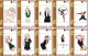 Delcampe - M14021 China Phone Cards LADY GAGA 418pcs - Musique