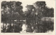 STORRINGTON - SWANS ON THE POND - Shropshire