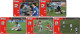 Delcampe - F13003 China Phone Cards Football FIFA World Cup 2010 Messi 85pcs - Sport