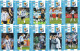 Delcampe - F13003 China Phone Cards Football FIFA World Cup 2010 Messi 85pcs - Sport