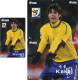 Delcampe - F13005 China Phone Cards Football FIFA World Cup 2010 Kaka 39pcs - Sport