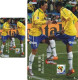 Delcampe - F13006 China Phone Cards Football FIFA World Cup 2010 Robson De Souza 35pcs - Sport