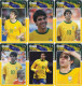 Delcampe - F13009 China Phone Cards Brazil Football 169pcs - Sport