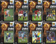 Delcampe - F13014 China Phone Cards Football FIFA World Cup 2010 163pcs - Sport