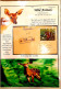 Delcampe - BHUTAN 1970 RARE COLLECTION Of WILD ANIMALS 3d Brochure + 13v SET + 6 Off FDC's + 2 Agency FDC + 2 Regd POSTAL USED CVR - Rinoceronti