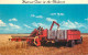 Postcard United States Midwest Harvest Time - Other & Unclassified