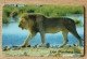 Namibian Telecom Phonecard NMB15 Lion Controlnumber With NAEIC In Good Used Condition, Only For Collection Purpose - Namibia