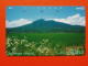 T-87- JAPAN -JAPON, NIPON, TELECARD, PHONECARD NTT JP- 250-247 - Japan