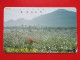 T-89- JAPAN -JAPON, NIPON, TELECARD, PHONECARD NTT JP- 250-441 - Japan