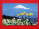 T-104 - JAPAN -JAPON, NIPON, TELECARD, PHONECARD NTT JP- 291-163 - Japon