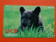 T-154 - JAPAN -JAPON, NIPON, TELECARD, PHONECARD, NTT JP 431-091, Bear, Ours - Japon