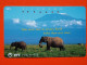 T-167 - JAPAN -JAPON, NIPON, TELECARD, PHONECARD, Animal,  NTT JP 231-089 Elephant - Other & Unclassified