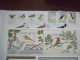 Birds Nice Collection In Stockbook MNH - Konvolute & Serien