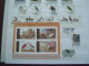 Delcampe - Birds Nice Collection In Stockbook MNH - Collezioni & Lotti