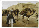 AFGHANISTAN , POSTCARD " HOLZTRANSPORT IN KANDAHAR " FROM KABUL TO ITALY , 1977 - Afganistán