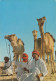 BAHRAIN - Camels And Riders - Bahrain