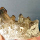 Delcampe - #31 - Beaux Cristaux De QUARTZ MORIONE (Kara-Oba W Deposit, Moiynkum, Jambyl Region, Kazakhstan) - Minerales