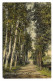 Sorau,Grüner Wald ,   Żary  Zielony Las Ok.1910r. 989H - Neumark