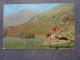 LAKE DISTRICT - Buttermere