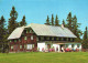 KINDBERG, STANGLALM, ARCHITECTURE, PENSION, TERRACE, AUSTRIA, POSTCARD - Kindberg