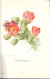 EJ52 - ALBUM ARTIS - LES CACTUS - EDITION 1957 - 130 PAGES - 60 PLANCHES COULEUR - Artis Historia