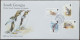 King Penguin Birds, Bird, Seagulls, Rockhopper Penguins, Antarctic Tern, Animal Fauna South Georgia Complete Set X3 FDC - Pingouins & Manchots