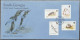 King Penguin Birds, Bird, Seagulls, Rockhopper Penguins, Antarctic Tern, Animal Fauna South Georgia Complete Set X3 FDC - Pinguïns & Vetganzen