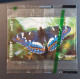 Norway N 209 Butterfly,  ,mint In Blister - Norway