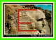 MT. RUSMORE, SD - PROFILE OF WASHINGTON - NATIONAL MEMORIAL  - ELITE PRINTS - - Mount Rushmore