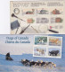 Petite Thematique Sur La Philatelie Canadienne - - Collections