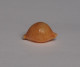 Cypraea Bistrinotata - Conchiglie