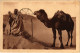 CPA AK LAGHOUAT La Priere Au Desert ALGERIA (1380575) - Laghouat
