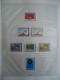 Delcampe - Nations Unies - Genève 1969/1982, Vienne 1979/1982 - Album De Timbres MNH - Collections (en Albums)