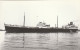 4924 118 S.s. ,,Kelletia” Reder Shell Tankers B.V.  - Tanker