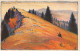Mont Racine La Sagne Neuchâtel 1919 - La Sagne