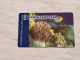 ISRAEL-EXCELLENT CARD-FISH SEA-(95376970)-(04542279)-(650UNITS)-GOOD CARD - Israel