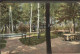 42197162 Zeithain Truppen- Uebungsplatz Offizierspark Zeithain - Zeithain