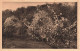 FRANCE - Normandie - Pommiers En Fleurs - Carte Postale Ancienne - Altri