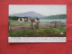 Blue Mountain From Eagle's Nest  Eagle Lake Home. Ned Butline      Adirondack  New York > Adirondack Ref 6298 - Adirondack