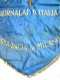 Gagliardetto/bandiera S.NA.G. Sindacato Naz. Giornalai D'Italia. Prov. Milano - Flags