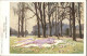 10990606 Hampton Court Crocus Time  Herefordshire, County Of - Herefordshire