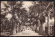 Uruguay - 1933 - Montevideo - Jardin Botanico - Uruguay