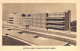 Delcampe - SANTE - HÔPITAL Et Hotel-Dieu - Lot De 20 Cartes FRANCE (13 CPSM Et 7 CPM Grand Format) - 5 - 99 Postcards