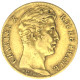 Charles X-20 Francs 1828 Lille - 20 Francs (gold)