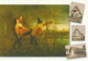 MAXIMUM CARD GARIBALDI TIR 500 2012  (MCX604 - Maximumkaarten